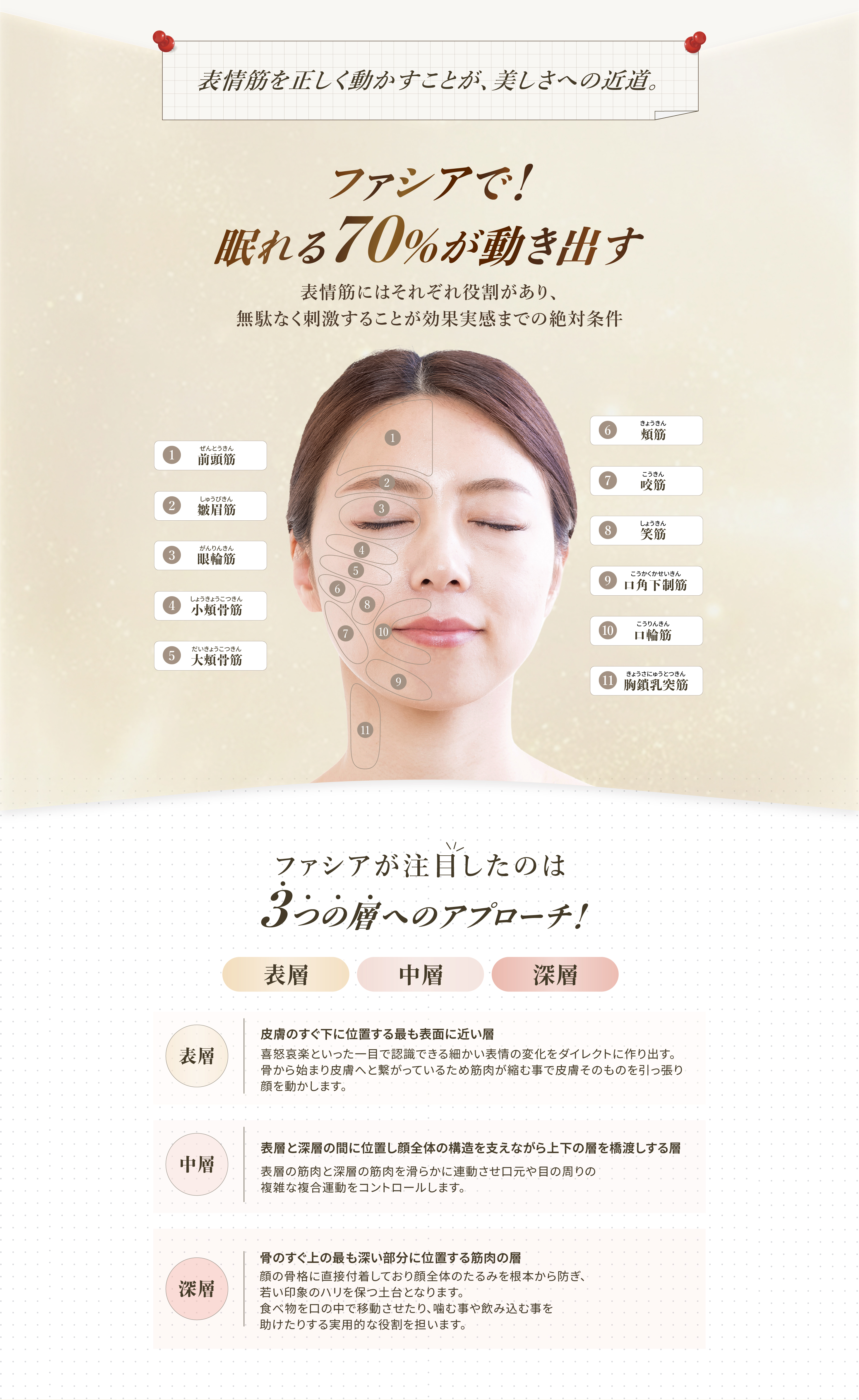 ファシアで眠れる70%が動き出す